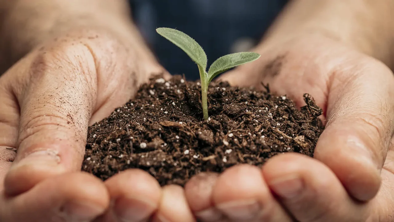 Produzione e commercio vegetali