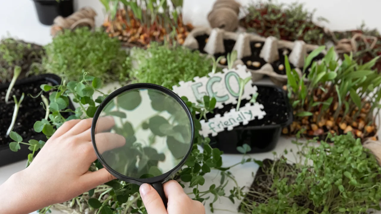 Controlli fitosanitari