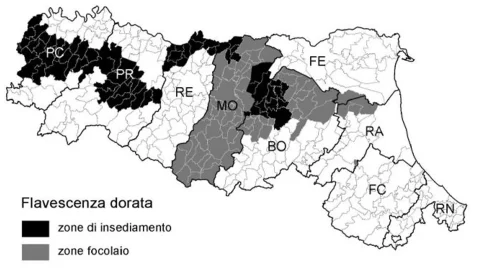 Flavescenza dorata della vite