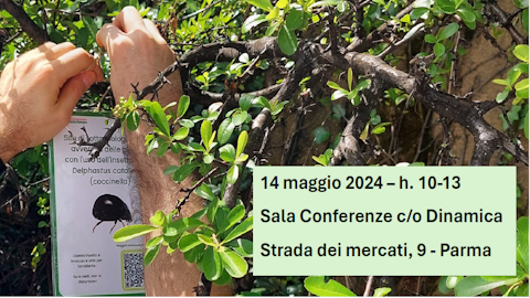 Nuove avversità del verde ornamentale in Emilia-Romagna